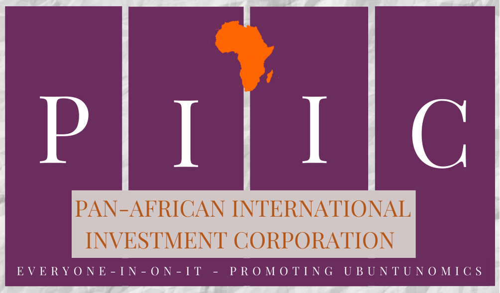 PIIC — Pan-African International Investment Corporation